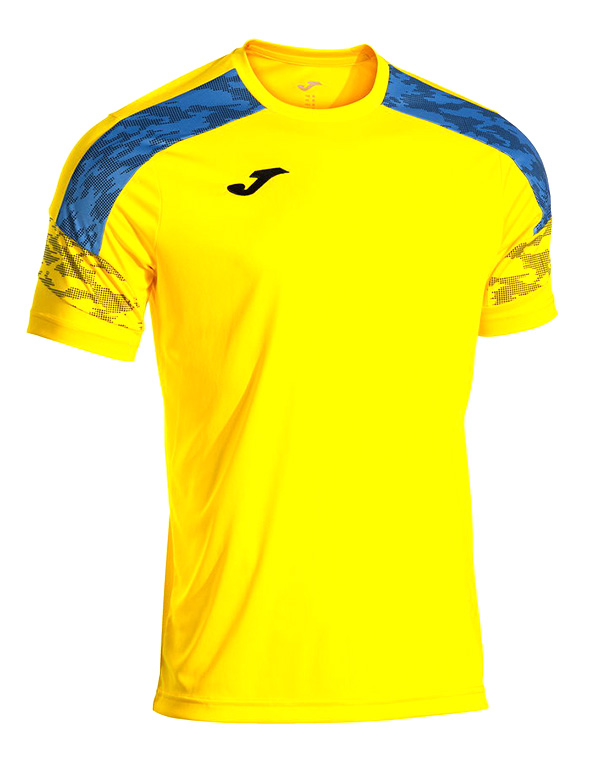 CHAMPIONSHIP VIII