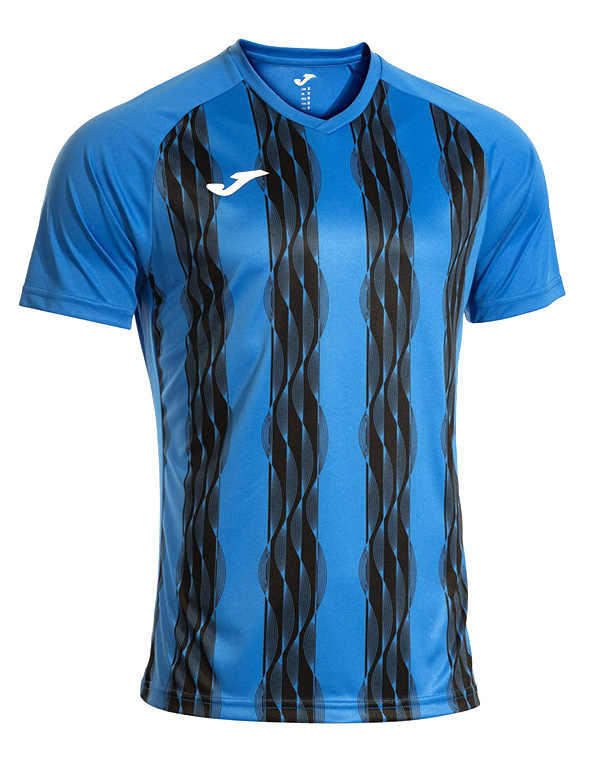 INTER V